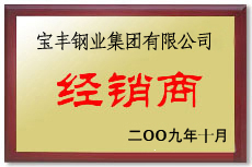 中宁宝丰经销商